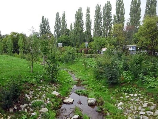 Projekt Bad Nauheim 2